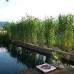 Relaxa At A Luxurious In *