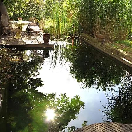 Relaxa At A Luxurious In