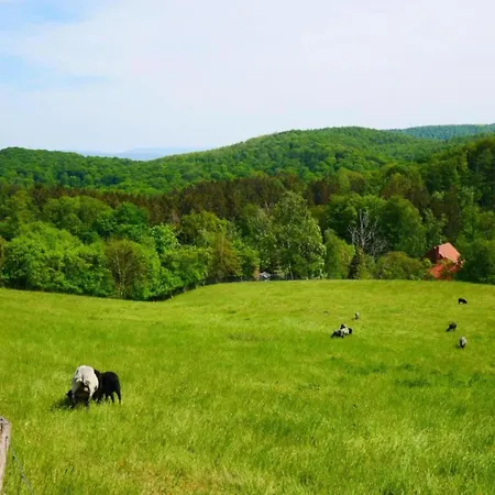 Relaxa At A Luxurious In Lejlighed