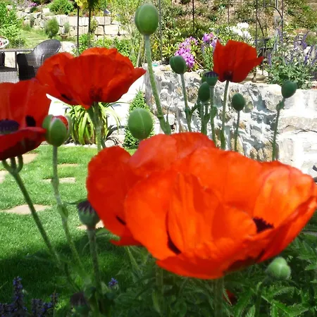 Relaxa At A Luxurious In Lejlighed