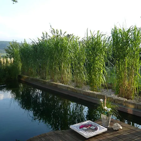 Relaxa At A Luxurious In *