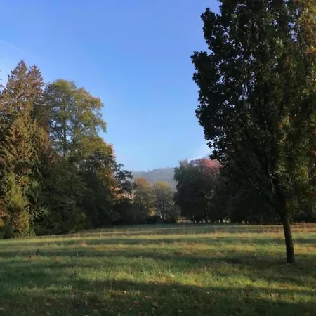 Relaxa At A Luxurious In Lejlighed *