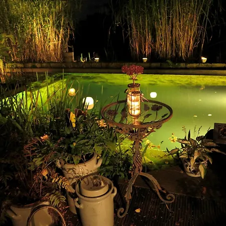 Relaxa At A Luxurious In *