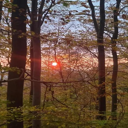 Relaxa At A Luxurious In Lejlighed Bad Pyrmont