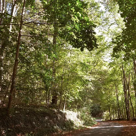 Relaxa At A Luxurious In Lejlighed *