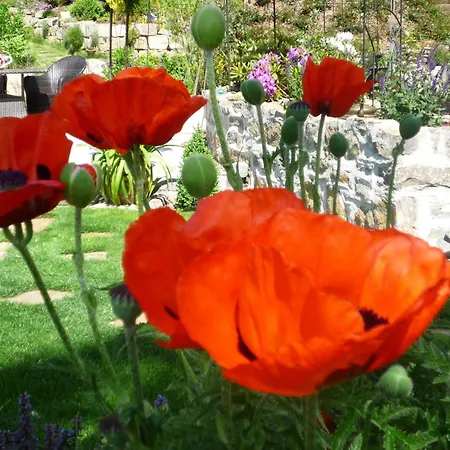 Lejlighed Relaxa At A Luxurious In *