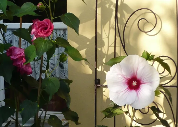 Relaxa At A Luxurious In Apartament *