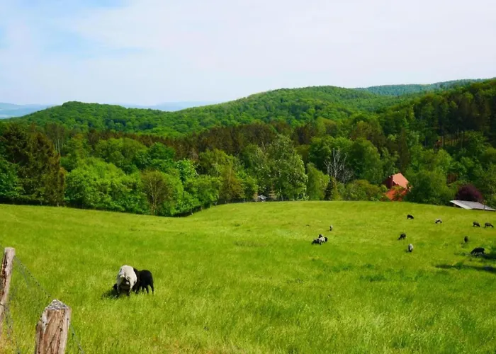 Relaxa At A Luxurious In Apartament