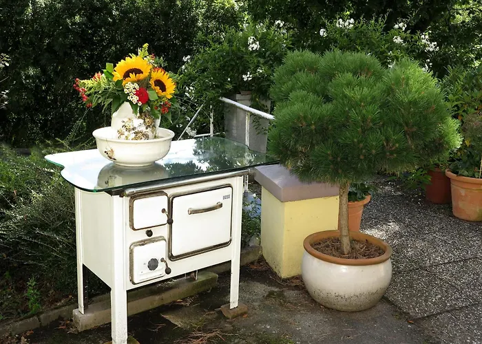 Relaxa At A Luxurious In *