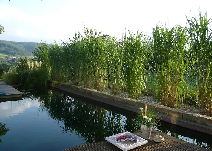 Relaxa At A Luxurious In *