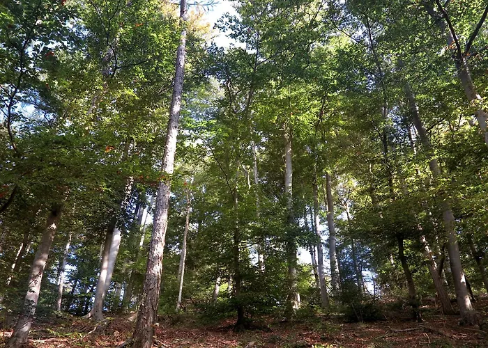 Relaxa At A Luxurious In Bad Pyrmont