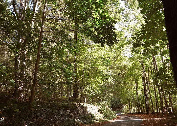 Relaxa At A Luxurious In * Bad Pyrmont