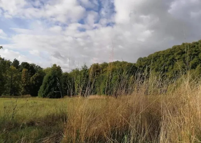 Apartament Relaxa At A Luxurious In