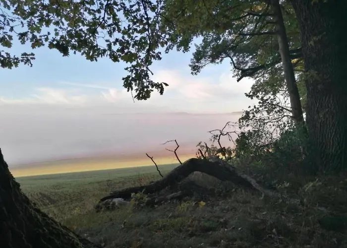 Apartament Relaxa At A Luxurious In *