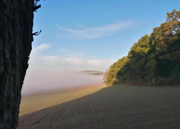 Relaxa At A Luxurious In Apartament Bad Pyrmont