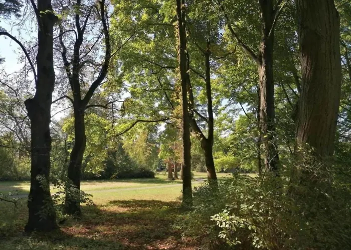 Apartament Relaxa At A Luxurious In *