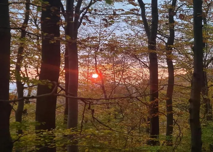 Relaxa At A Luxurious In Apartament Bad Pyrmont