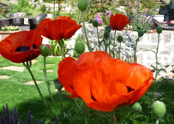 Apartament Relaxa At A Luxurious In *